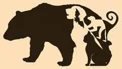 Optical illusion with five animals: which one do you see first and what does it say about your personality?