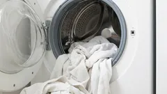 And you didn't know: 11 things that can actually be washed in the washing machine