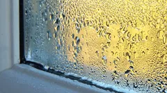 Why plastic windows "cry" in winter: and what to do to get rid of condensation for good.