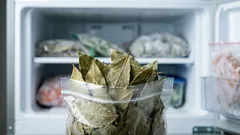Why experienced housewives are advised to freeze bay leaves: a trick used by professional chefs