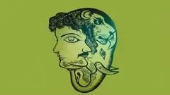 Who are you really: a visual test that determines your dominant character trait