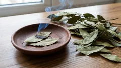 Why did our grandmothers light a bay leaf every evening? You'll definitely like this trick.