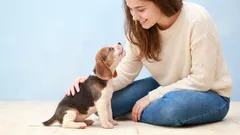 How to understand what your dog is saying: 20 important signals, poses, and movements that dogs use to communicate with their owners