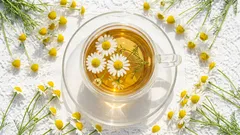 What not to drink with chamomile tea: remember once and for all