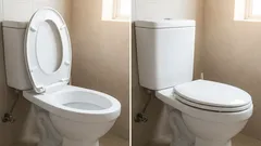 Should the toilet lid be raised or lowered? Here is the correct answer.