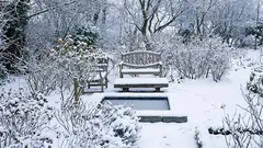 What not to do in the garden in winter: 5 dangerous mistakes